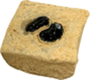 福丹もち